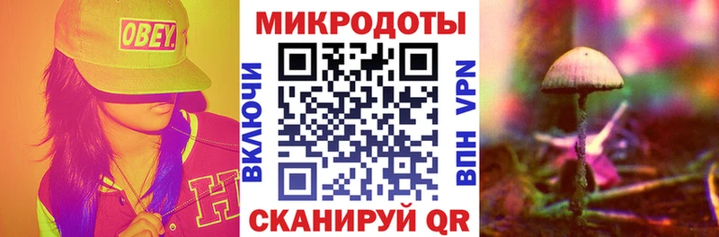 Купить закладки  Протвино  Псилоцибиновые грибы GOLDEN TEACHER 